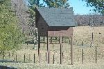 Bat Condo