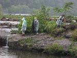 Cleaning Sandstone Falls