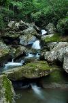 Falls on Wolf Creek