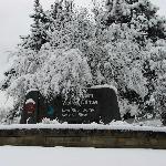 Snow Covered Sign