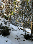 Castle Rock Trail in snow