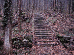 McKendree Hospital ruins
