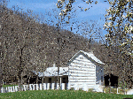 Trump-Lilly Farm