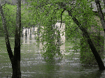 Bridge Piers at Hamlet