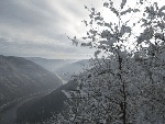 View from Main Overlook in winter