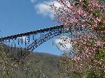 New River Gorge Bridge in Springtime