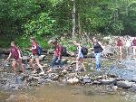 Wading Across the Creek