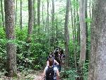 Hiking Through the Gorge