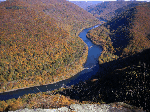 Grandview Rim Train in fall