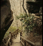 Turkey Spur steps