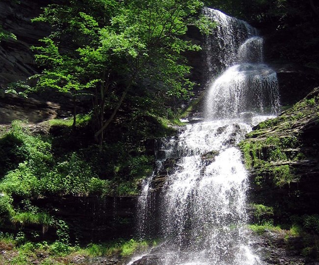 Water falling over a rocky cliff with trees around it