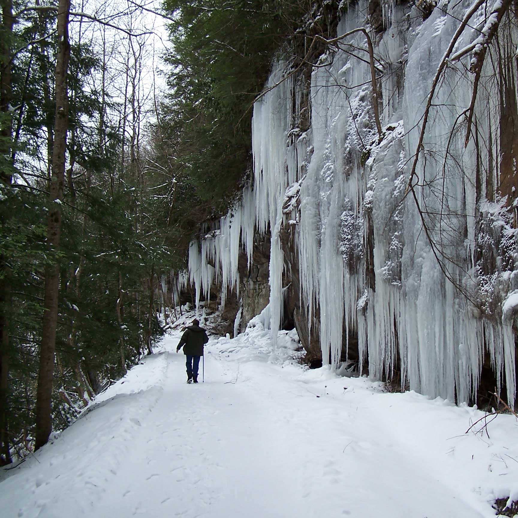 hiker walking past icicles