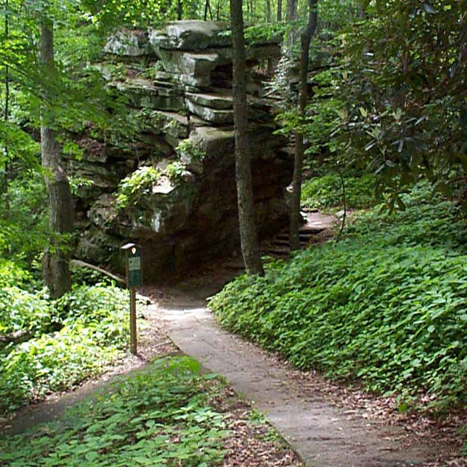 Tunnel Trail at Grandview