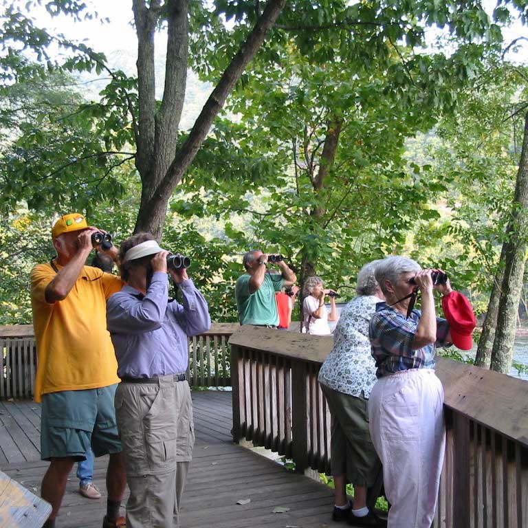Birding at Sandstone Falls