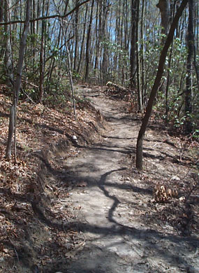 The Fayetteville Trail as it heads out of the Wolf Creek drainage.