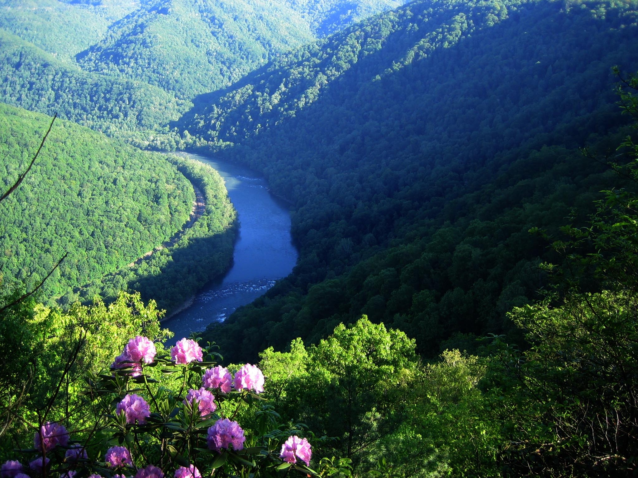 view from Turkey Spur Overlook