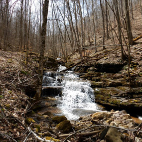 waterfall on the Big Branch Trail