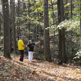 hikers looking at hemlock trees