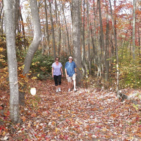 hikers on the trail