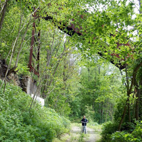 bike rider passing under coal conveyor