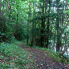 Glade Creek Trail