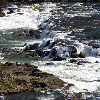 Sandstone Falls