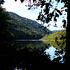New River along Stone Cliff Trail