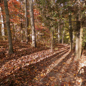 Town Loop Trail