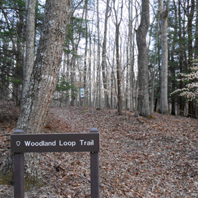 trailhead sign at Woodland Loop Trail