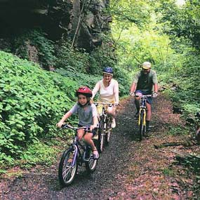 mountain bikers on a trail