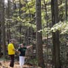 hikers