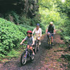 bike riders 