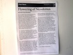 Newsletter Flowering of Nicodemus