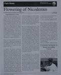 Newsletter - Flowering of Nicodemus