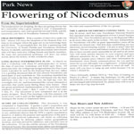 Nicodemus Newsletter