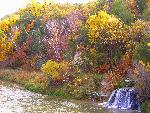 Berry Falls