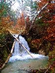Cross Falls