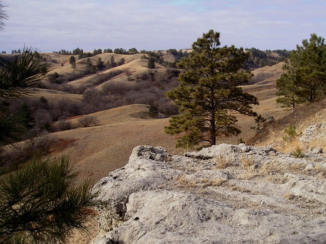 A knobby, sandstone gray rock is in the foreground of a photo with a landscape of river valleys and prairie in the background.