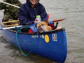 Dog in Canoe