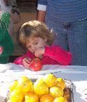 Child carefully puts cloves into an apple