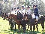 Cavalry demo