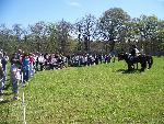 Cavalry and the crowd