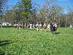 Militia marching