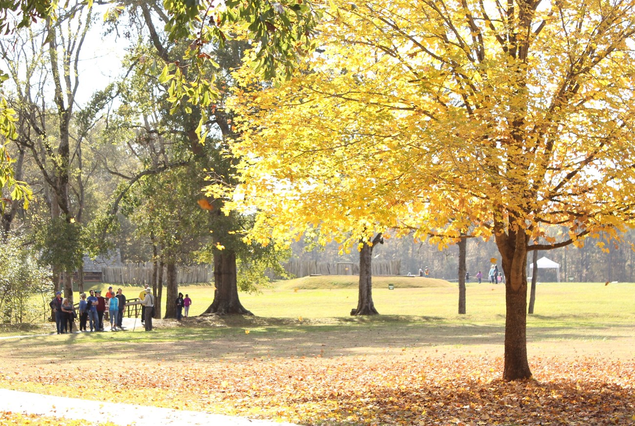 People walk the trail in the background with a golden tree in the forground.