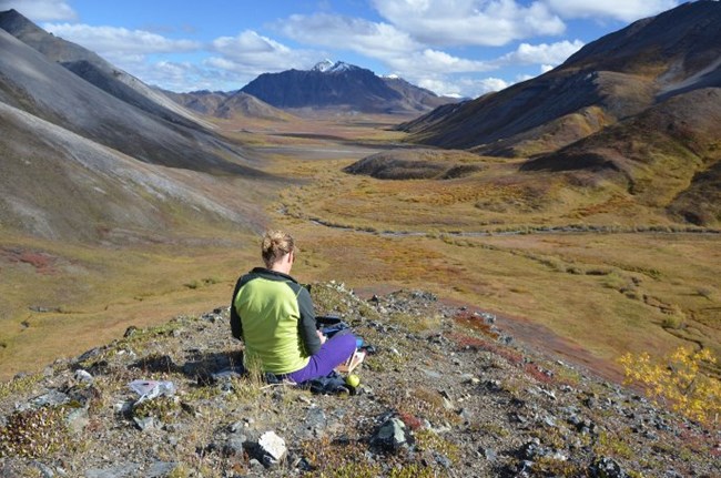 Artist MK MacNaughton sketches atop a hill that overlooks a green tundra valley with a snow-capped mountain in the distance.