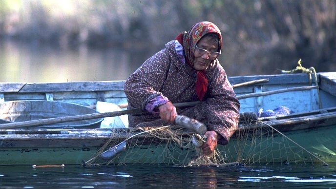woman fishing with a net from a boat