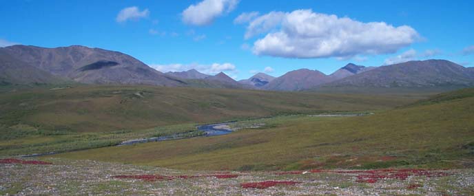 image of tundra and mountains, without littered fuel pods