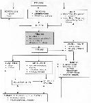 Figure 09 - Process Chart
