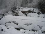 Boston Creek washout
