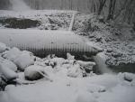 Boston Creek upstream
